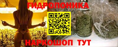 mix Можга