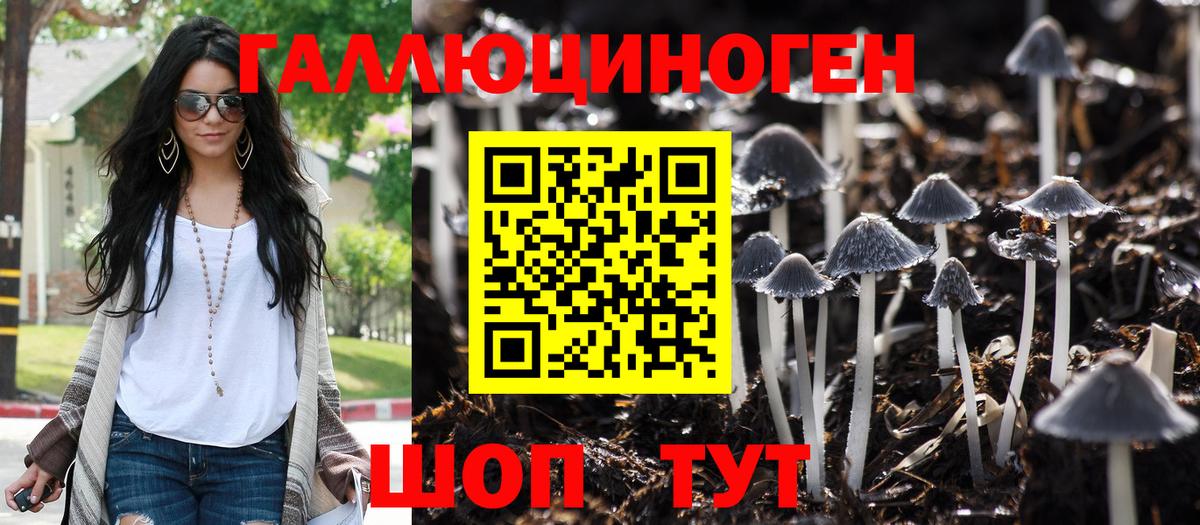 Галлюциногенные грибы мицелий Сокол