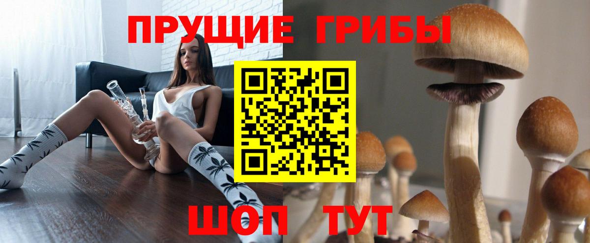 продажа наркотиков  Вход с VPN  Сокол  Галлюциногенные грибы ЛСД 